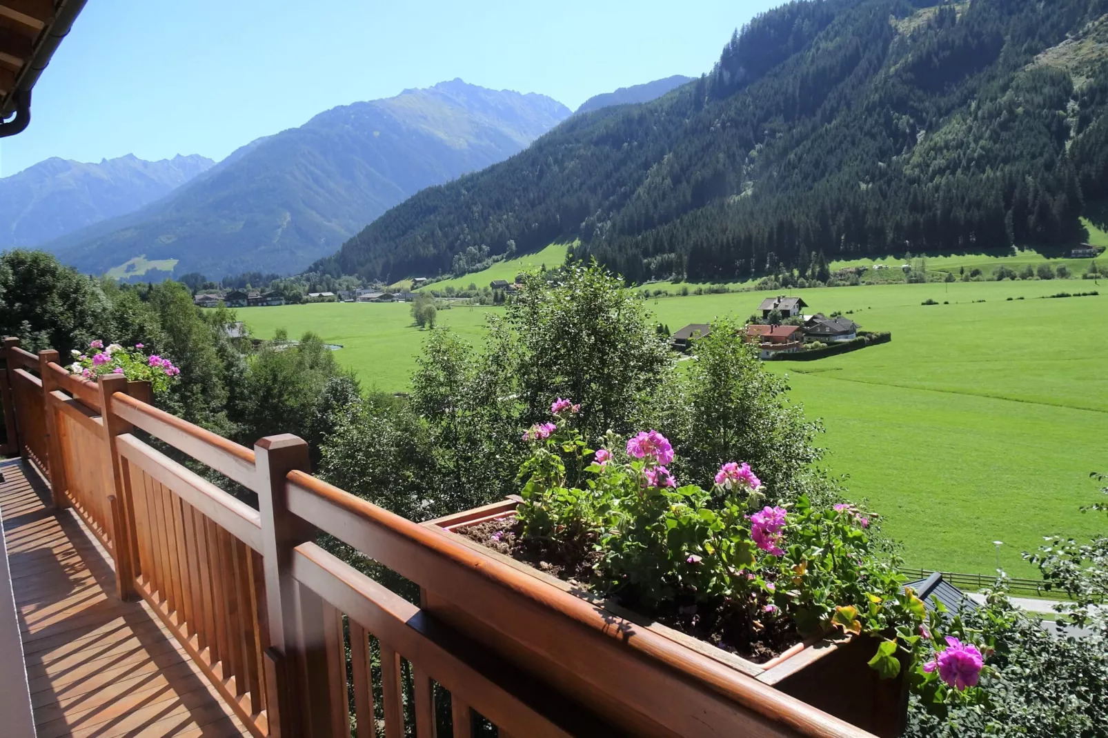 Chalets im Wald-Uitzicht zomer