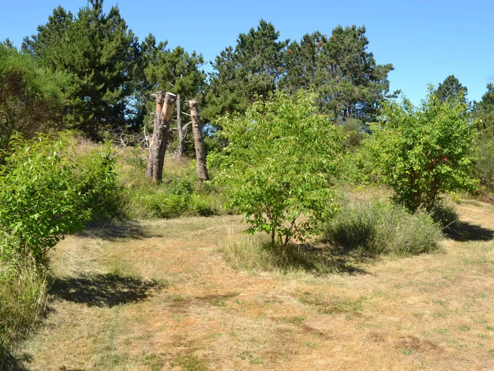 "Eberg" - 2.8km from the sea-Buiten