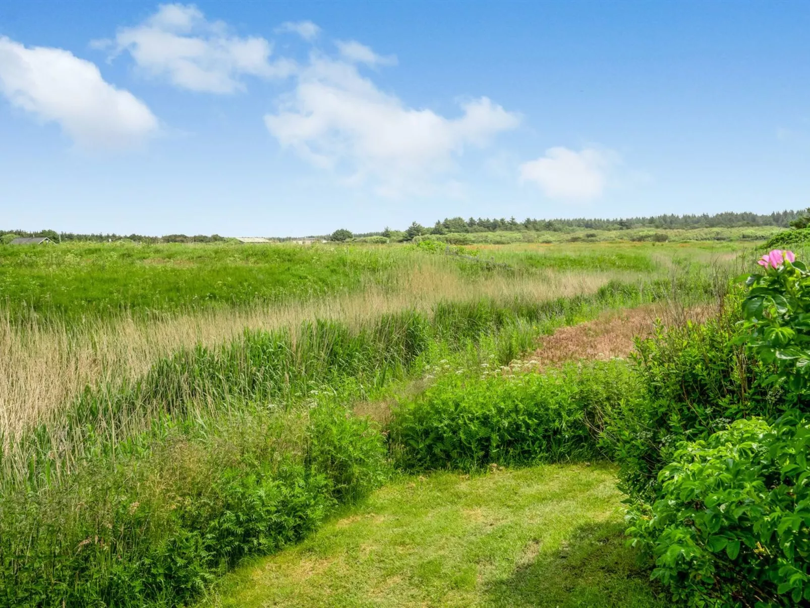 "Tinja" - 700m from the sea-Buiten