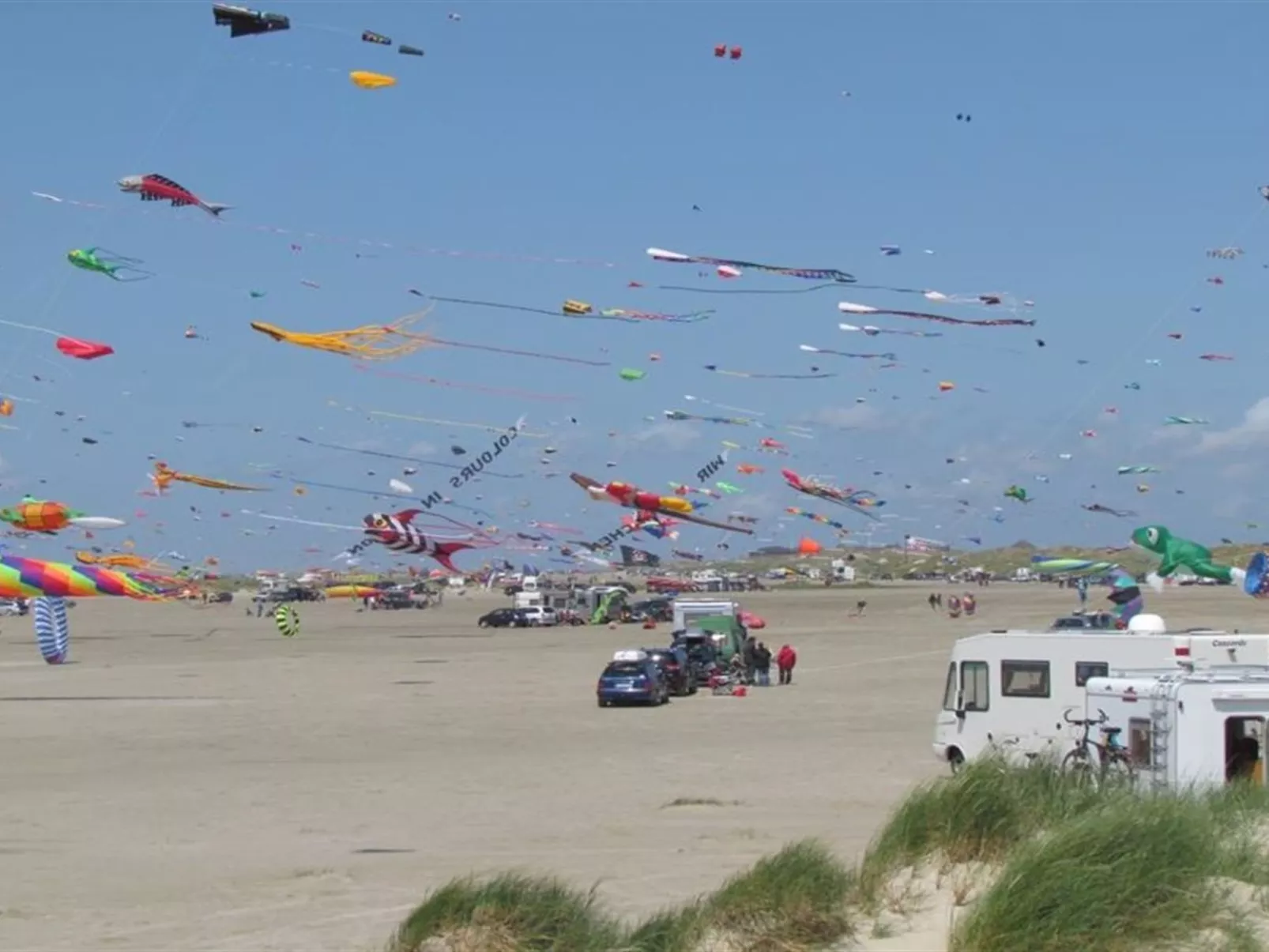 "Betina" - 100m from the sea in Western Jutland-Buiten