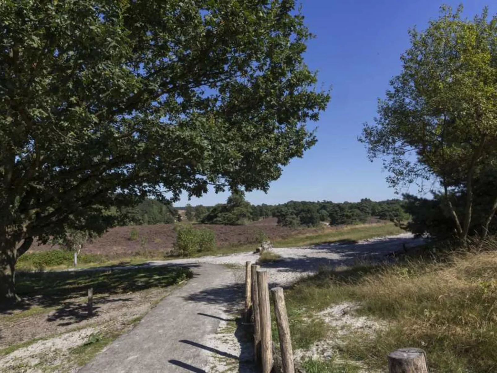 Boekhorst Royal Sauna 6-Buiten