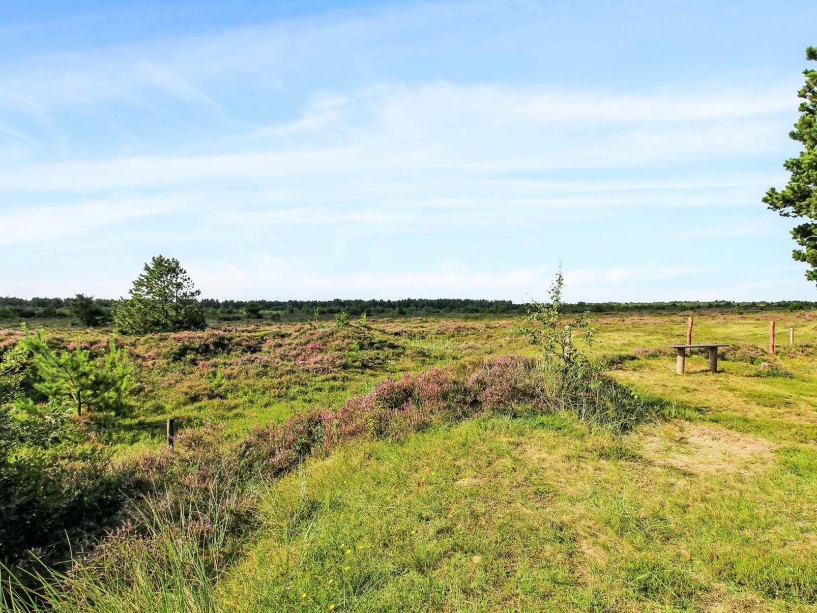 "Alfwin" - 3km from the sea-Buiten