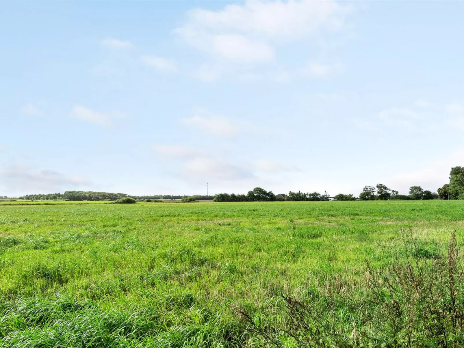 "Haralde"-Buiten