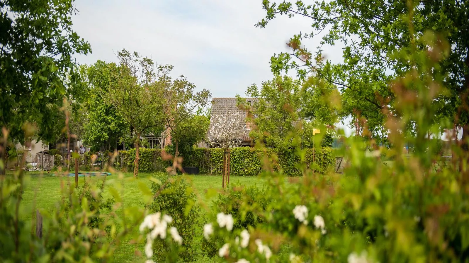 Meidoornhoeve-Tuinen zomer