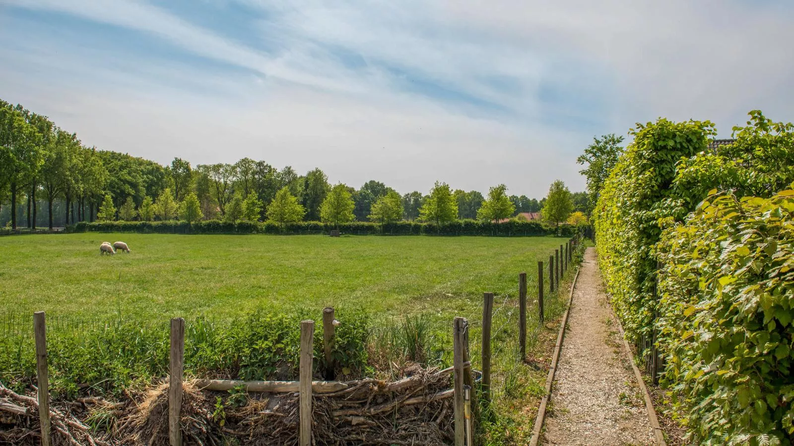 Meidoornhoeve-Gebieden zomer 1km