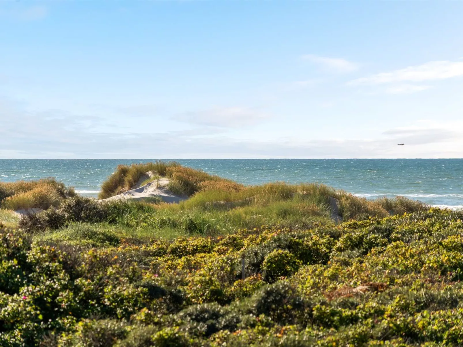 "Rauli" - 50m from the sea-Buiten