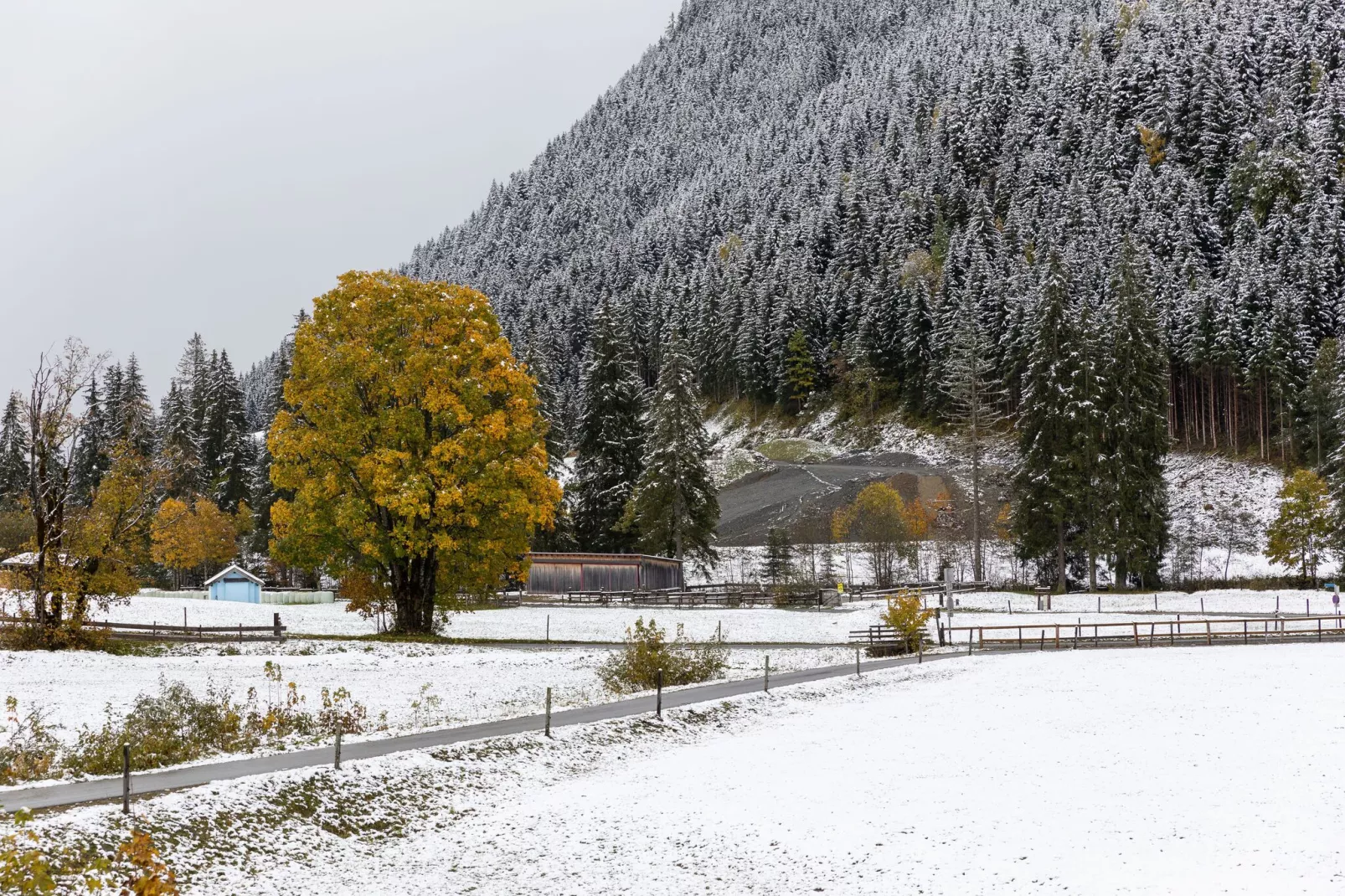 Chalet Apartment Mittenwald Top 2-Gebied winter 1km