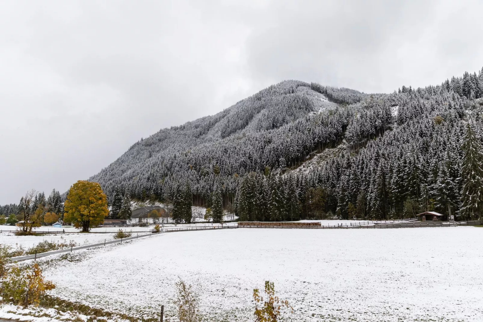 Chalet Apartment Mittenwald Top 2-Gebied winter 5km