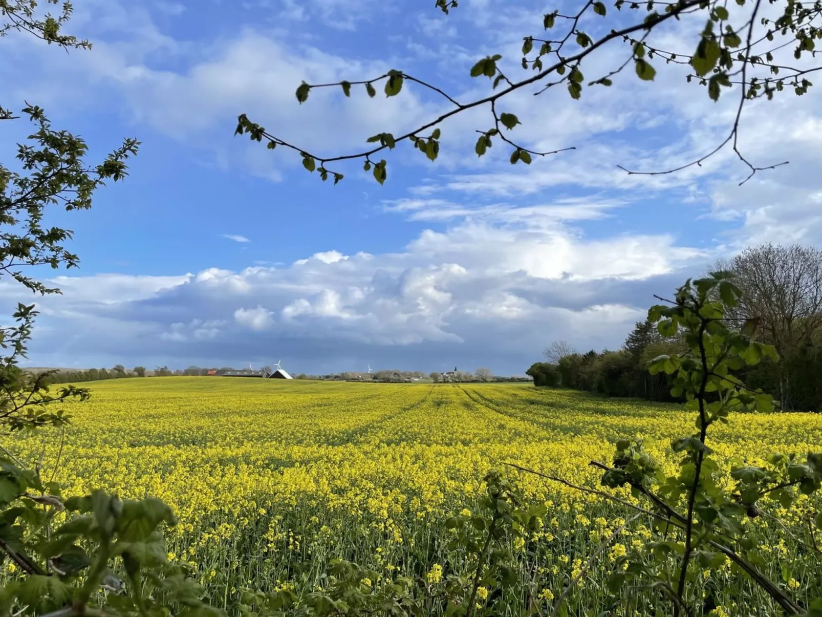 "Elvin" - 2.7km from the sea-Buiten