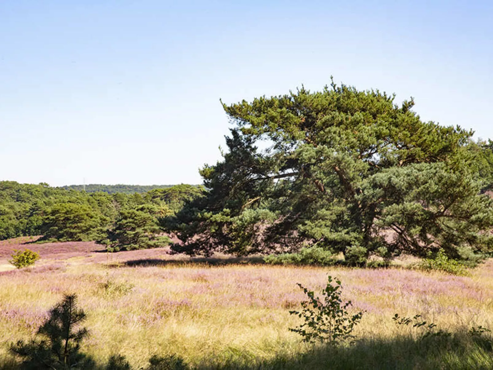 Pavilion l'etage Sauna 10-Buiten