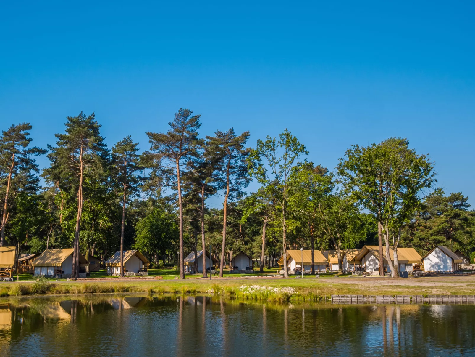 Glampingtent Kiezel Lodge 4-Buiten