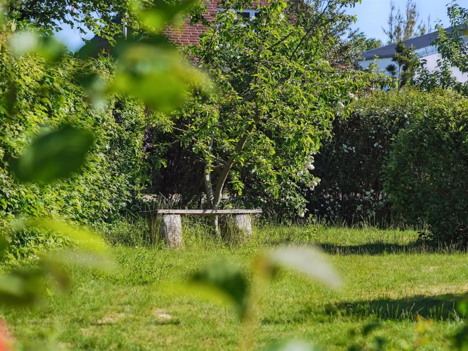 "Bartha" - 3km from the sea-Buiten