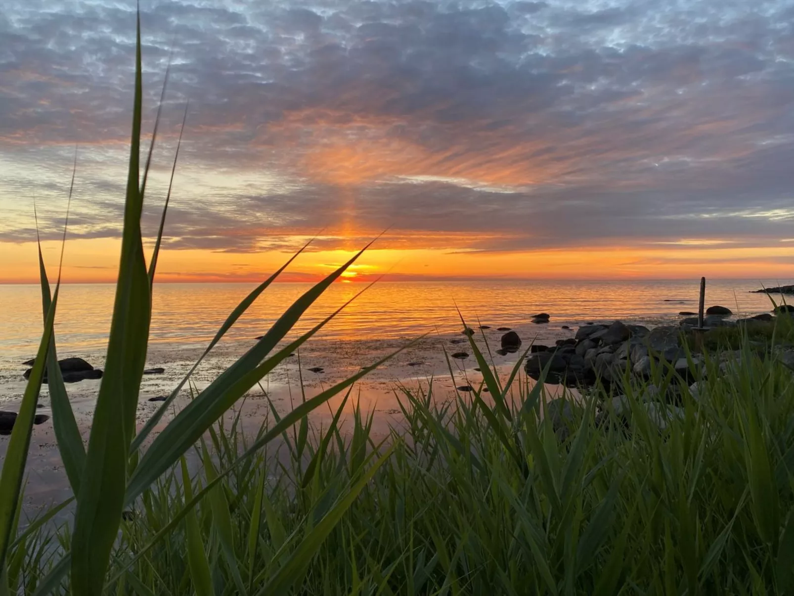 "Scarlet" - 5m from the sea-Buiten