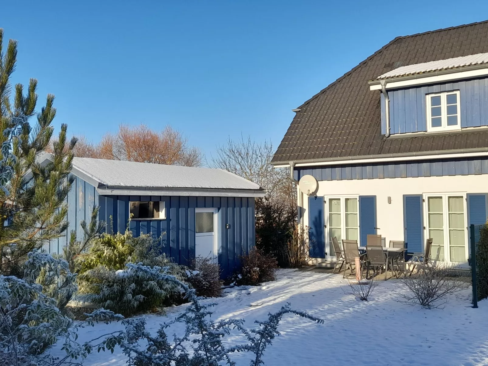 Sanddorn-Buiten