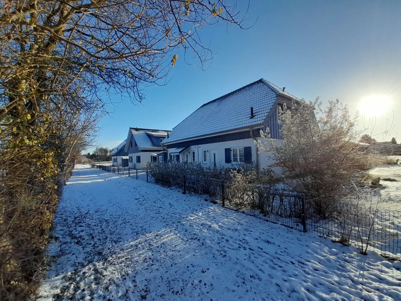 Sanddorn-Buiten