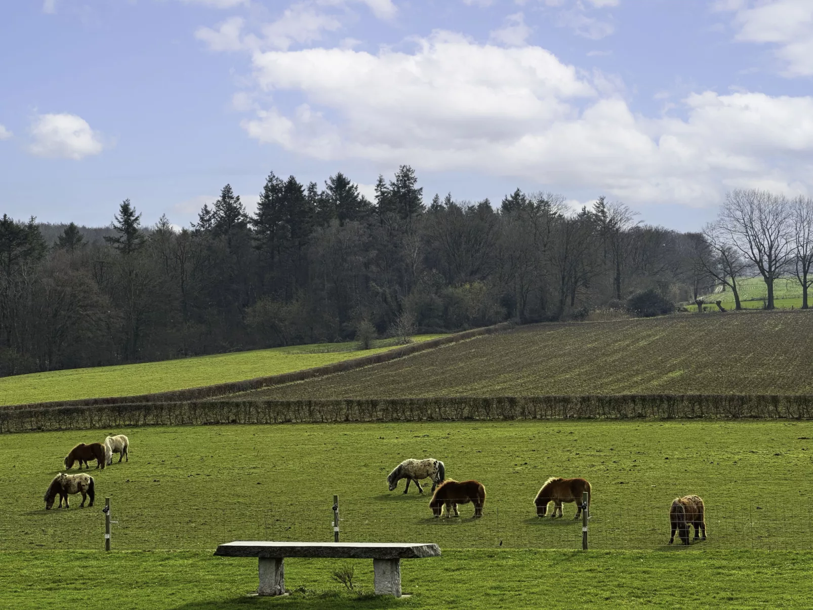 Bungalowpark Landsrade-Buiten