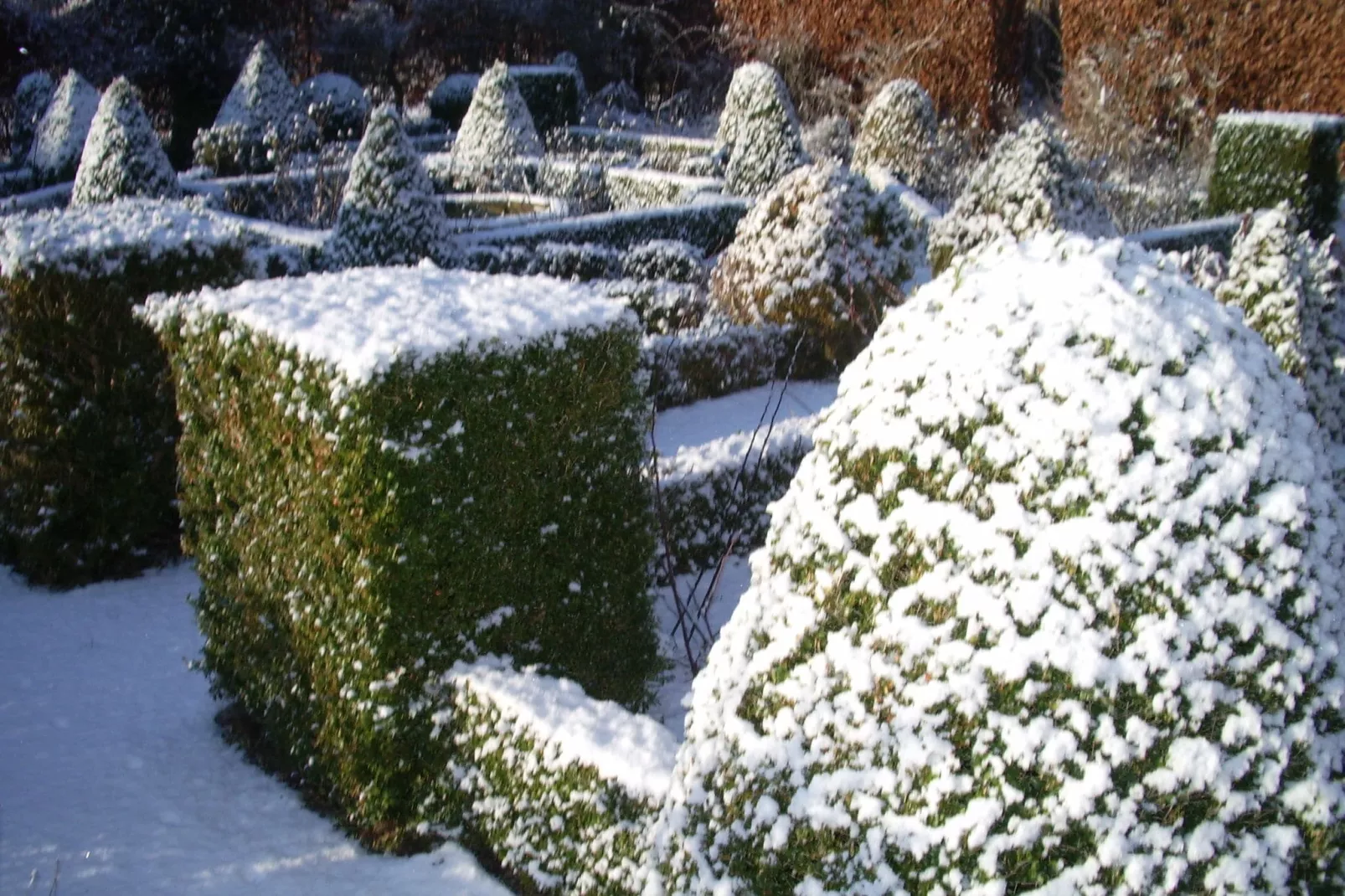 Het Leemhof-Tuin winter