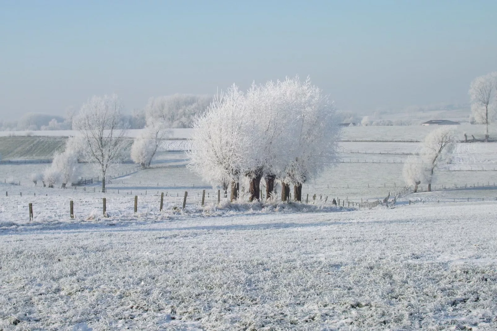 Het Leemhof-Gebied winter 1km