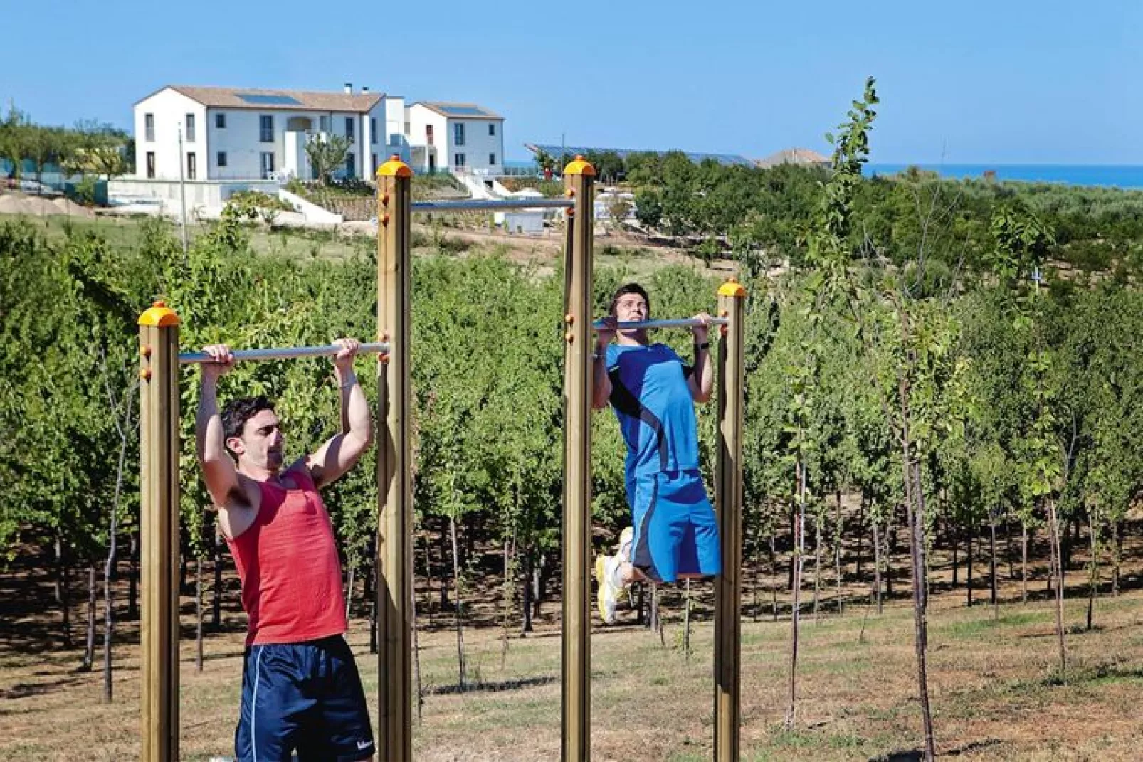 Holiday resort Contea dei Ciliegi Pedaso Typ Bilo Bilo-Buitenkant zomer