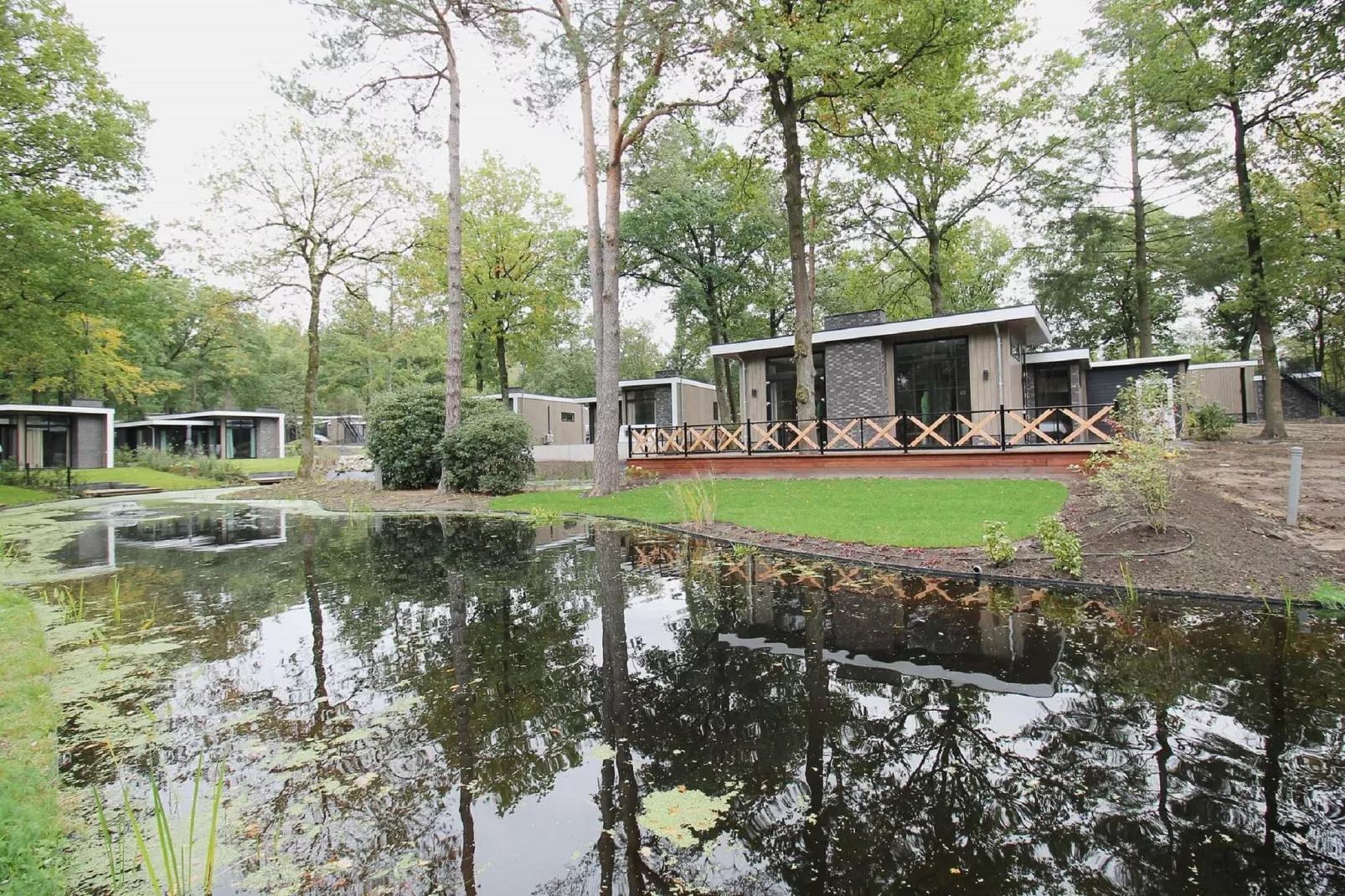 Vakantiepark De Rimboe & De Woeste Hoogte 42-Buitenkant zomer