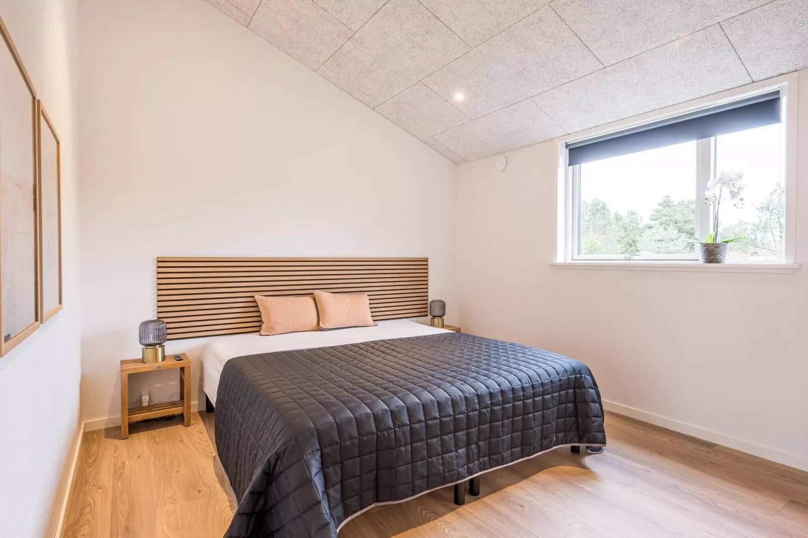 5 sterren vakantie huis in Blåvand-Binnen