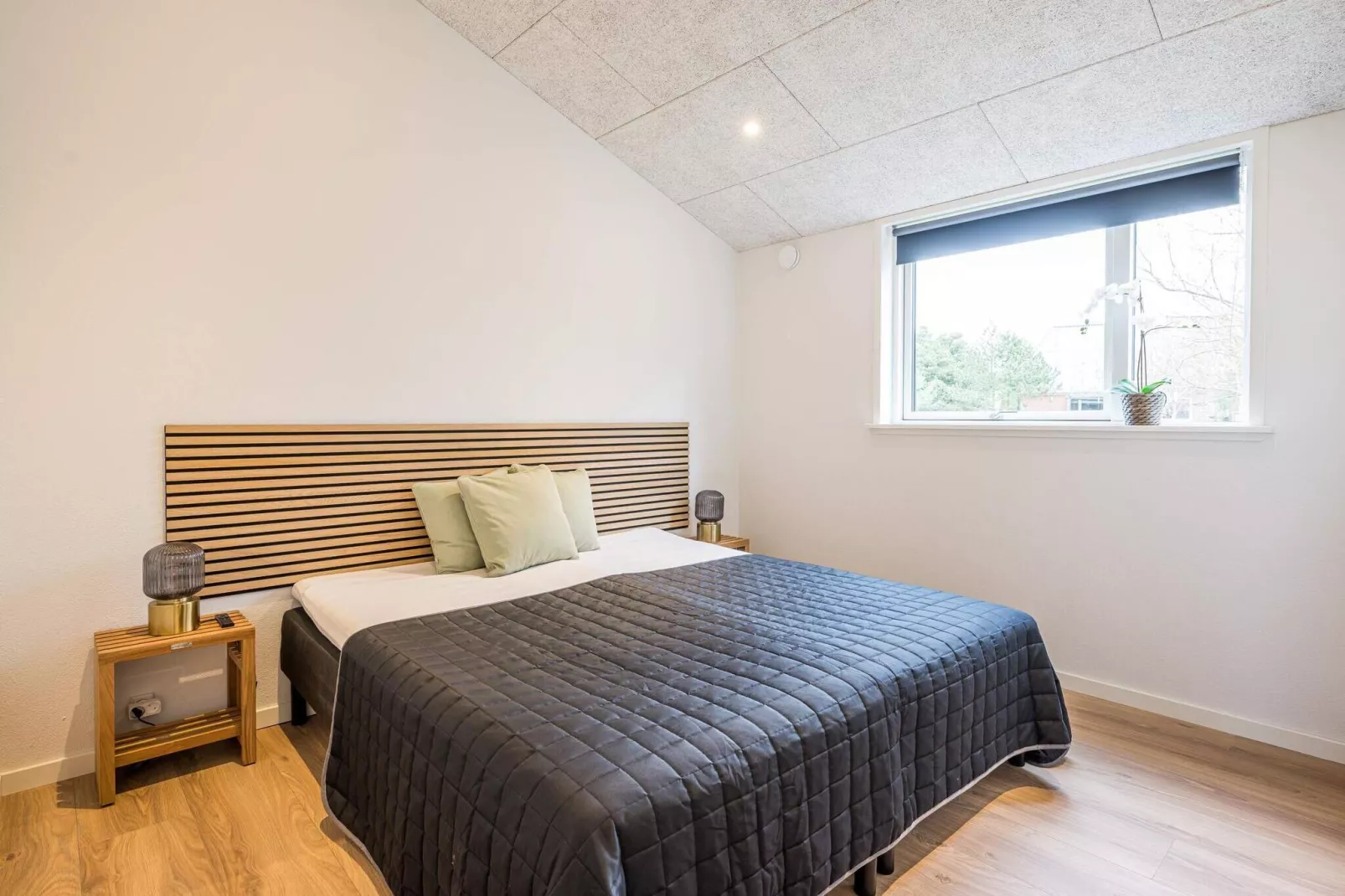 5 sterren vakantie huis in Blåvand-Binnen