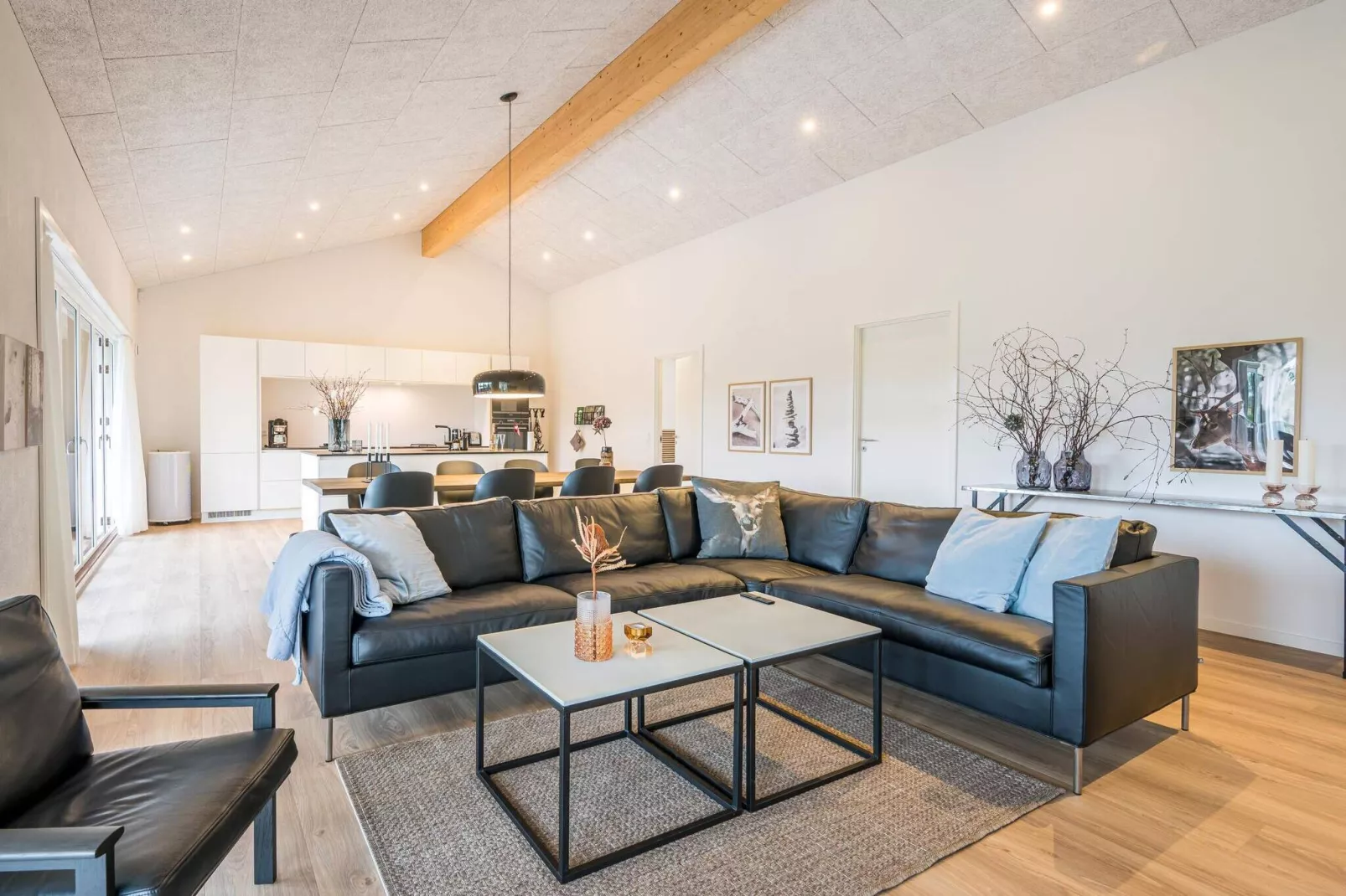 5 sterren vakantie huis in Blåvand-Binnen