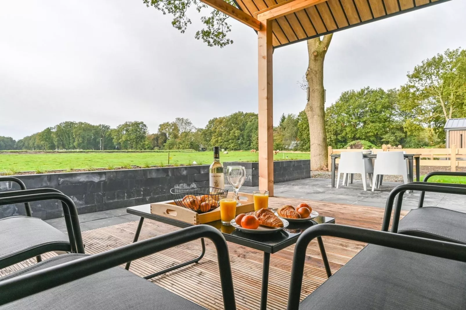 Resort Drentse Weelde 1-Terrasbalkon