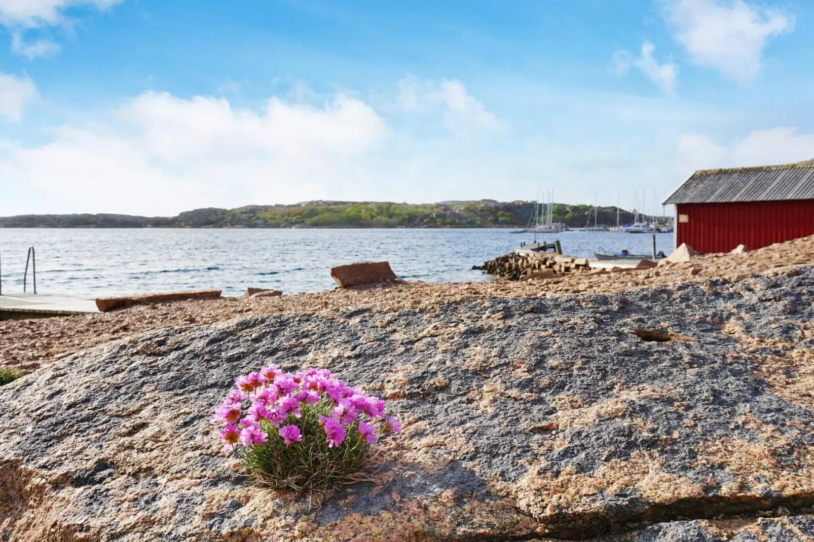 4 sterren vakantie huis in Bovallstrand-Niet-getagd