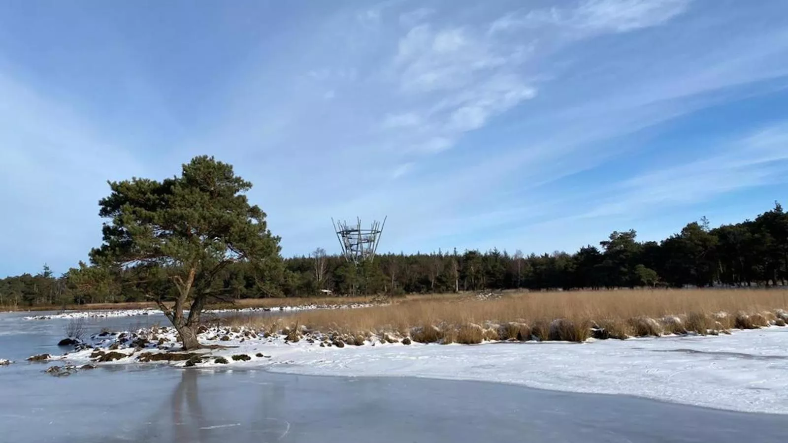 Meidoornhoeve-Gebied winter 5km