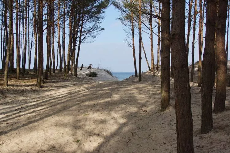 Domki wakacyjne KAJAN dla 4 osób Mielenko-Gebieden zomer 1km