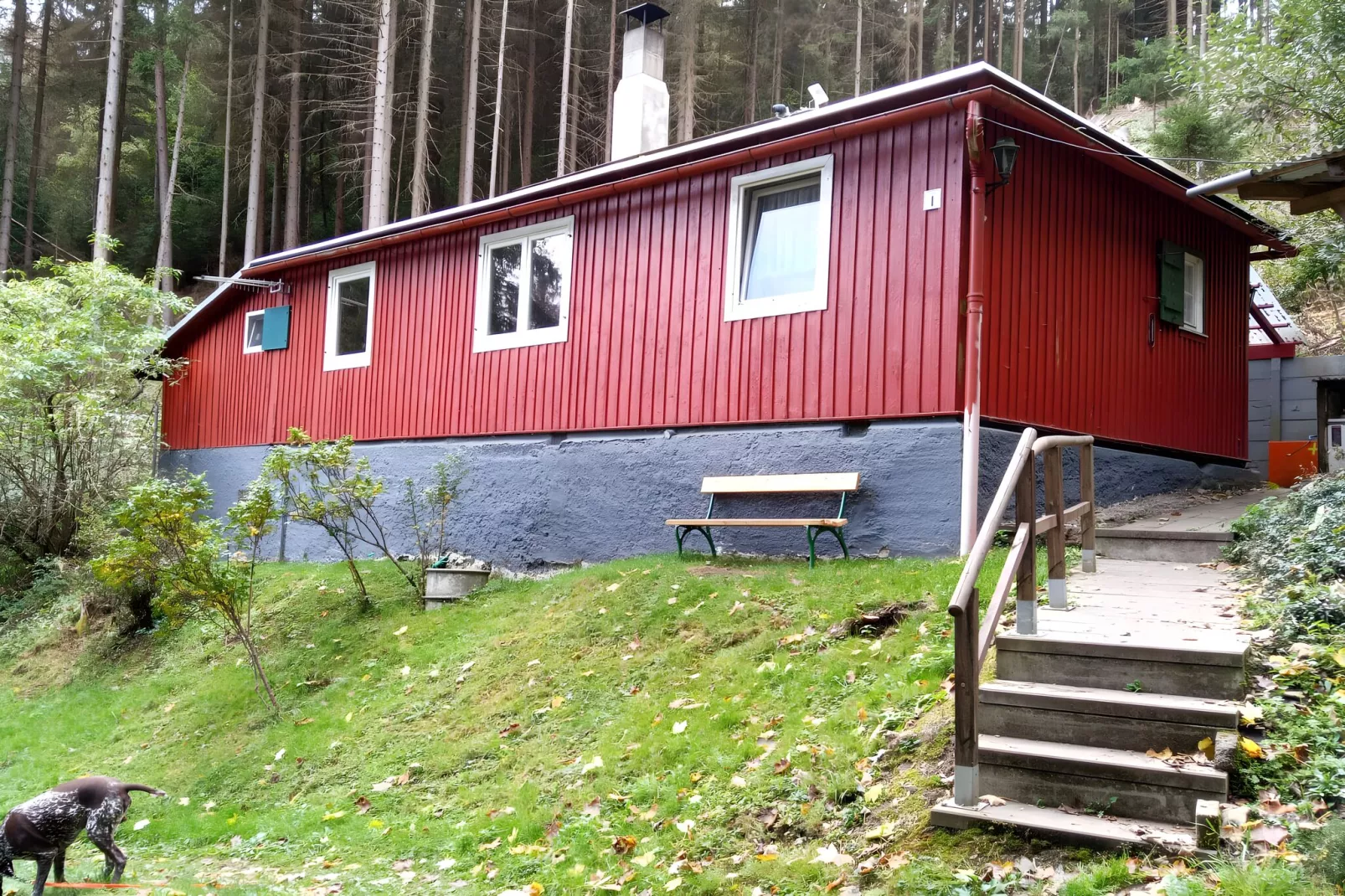 Schöne Hütte im Waldstück in Königsee-Querbachhütte