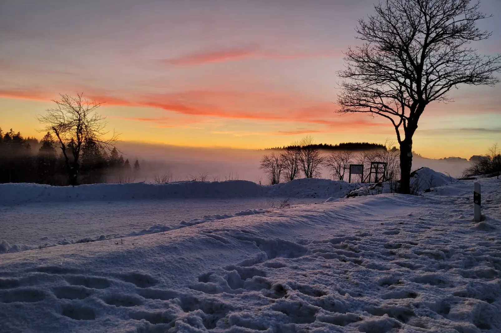 Zum Kahlen Asten-Gebied winter 5km