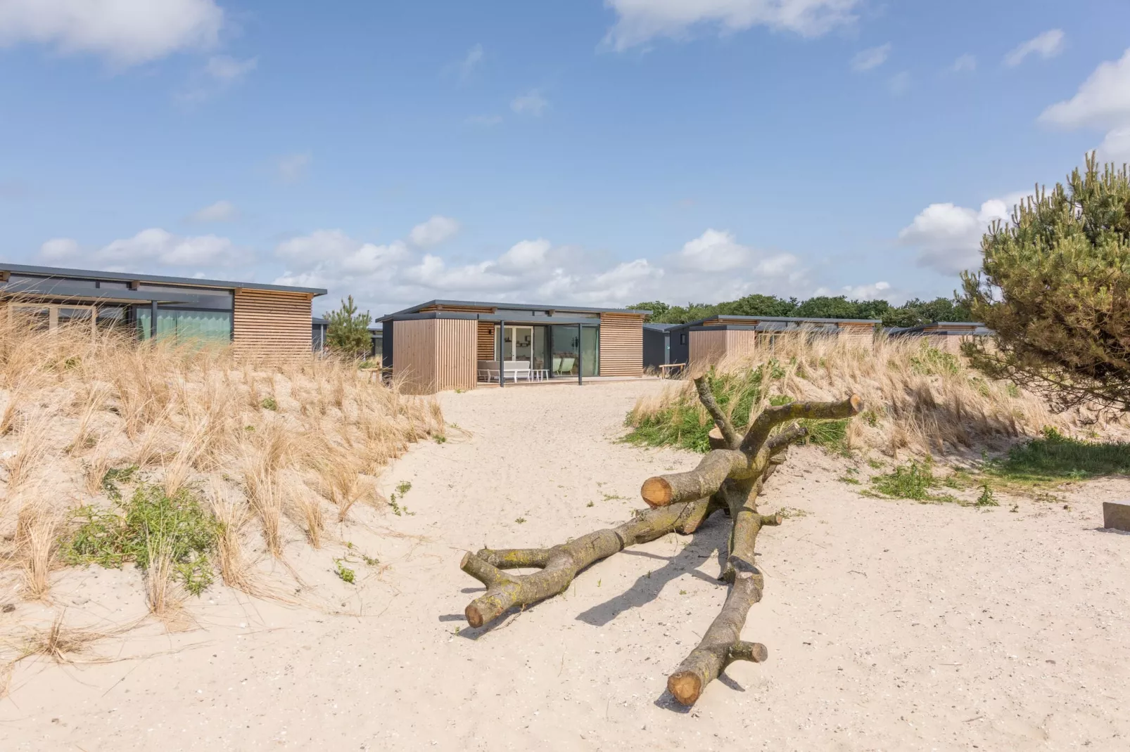 Sea Lodges Ameland 1-Gebieden zomer 1km