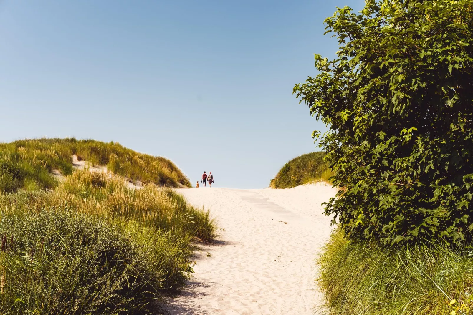 Sea Lodges Ameland 1-Gebieden zomer 5km