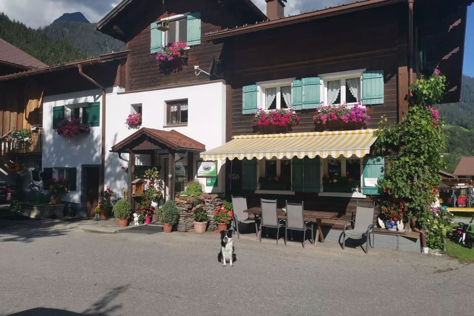 Ferienhaus Bodnerhof-Buitenkant zomer