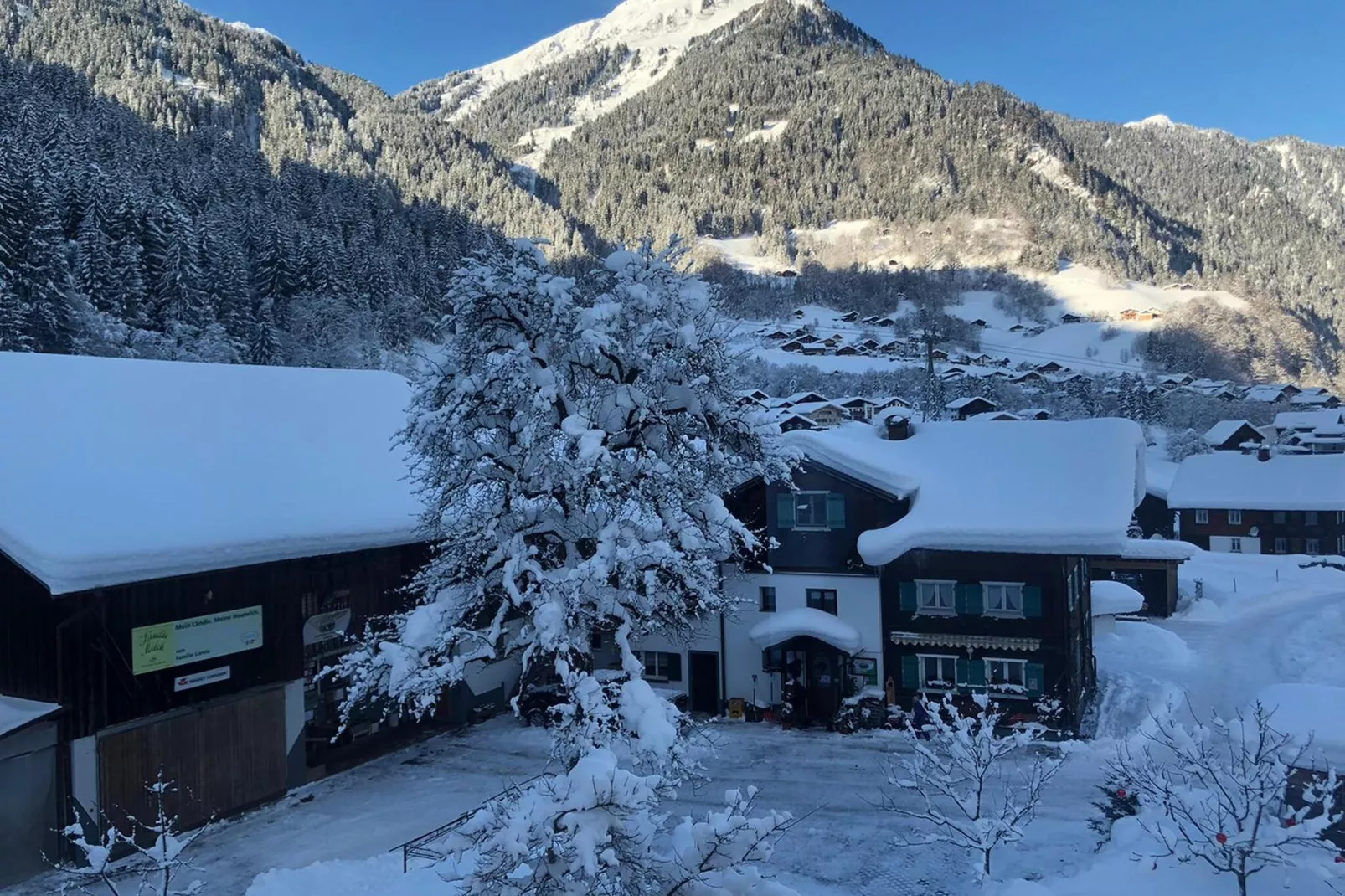 Ferienhaus Bodnerhof-Uitzicht winter