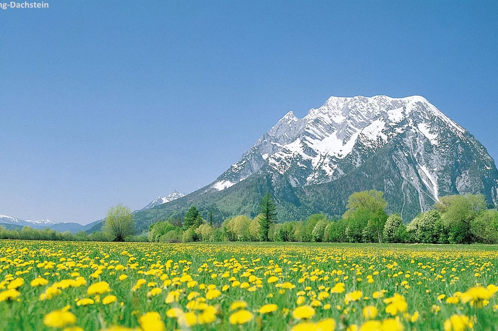 Alpenrock Schladming 5-Gebieden zomer 1km