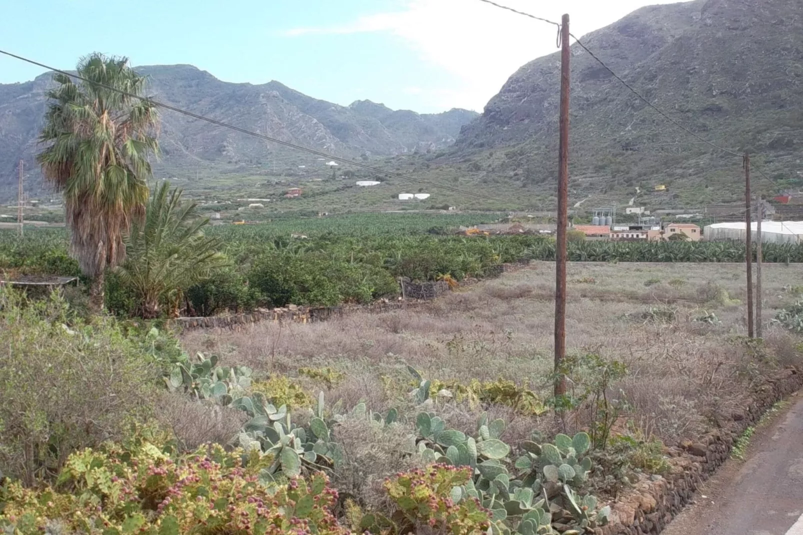 Casa El Cardon B1' with Sea & Mountain View-Gebieden zomer 1km