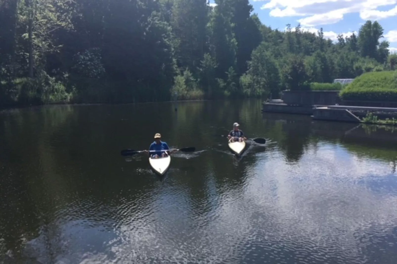 Harderwold bosvilla 474-Gebieden zomer 1km