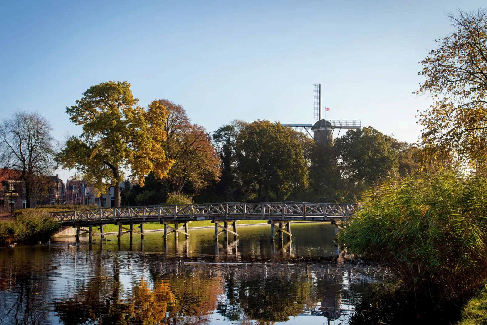 Het Singeltje-Gebieden zomer 1km