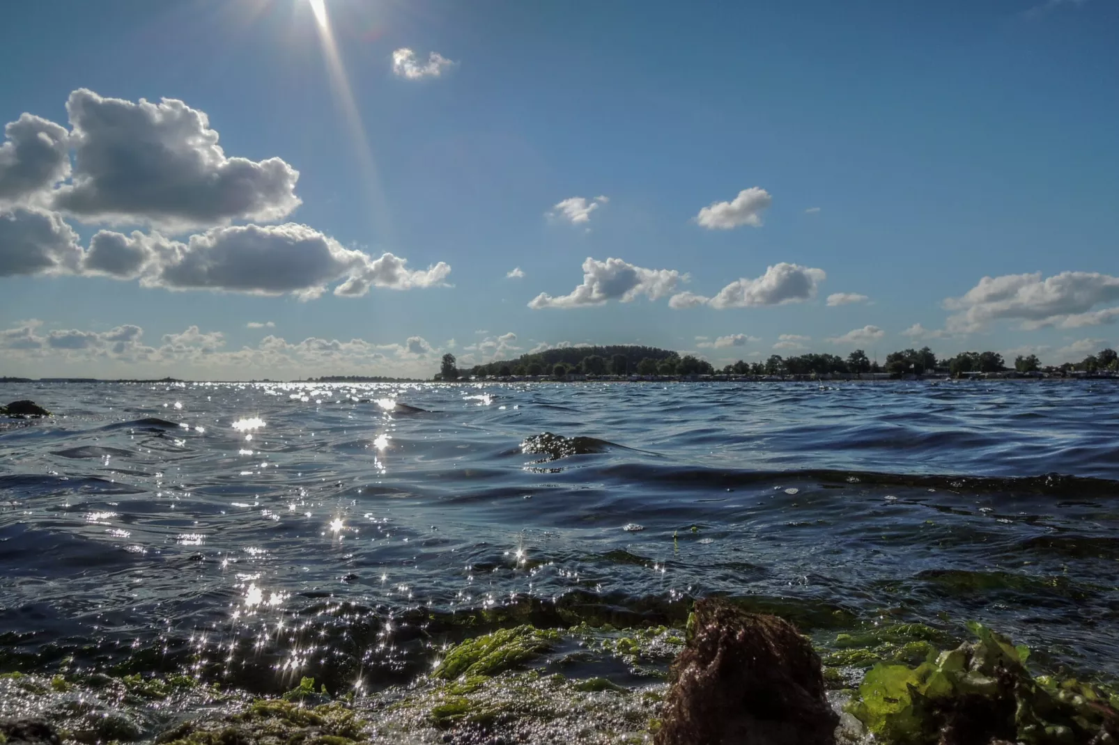 Het Koetshuys-Gebieden zomer 5km