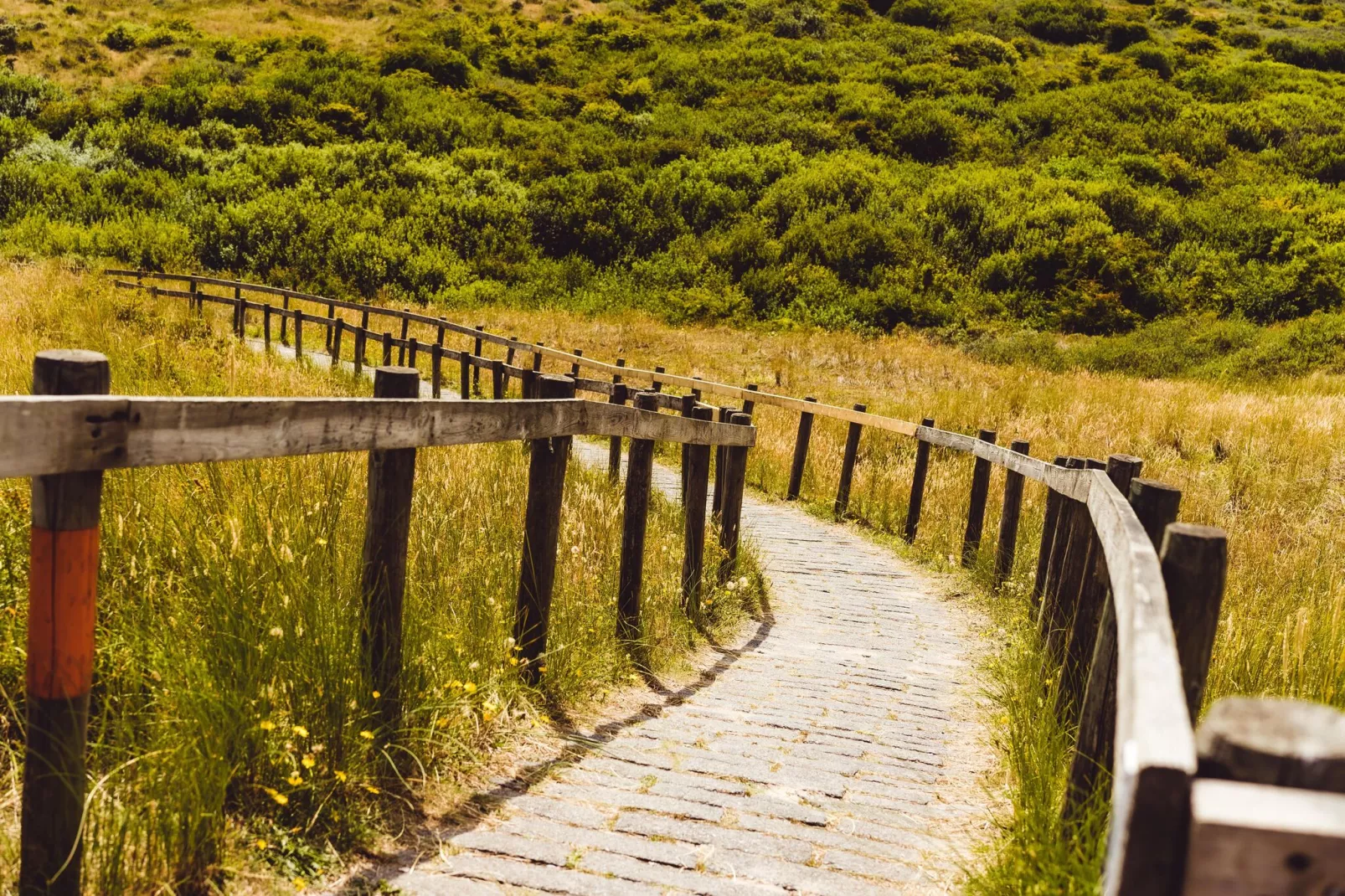 Sea Lodges Ameland 4-Gebieden zomer 5km