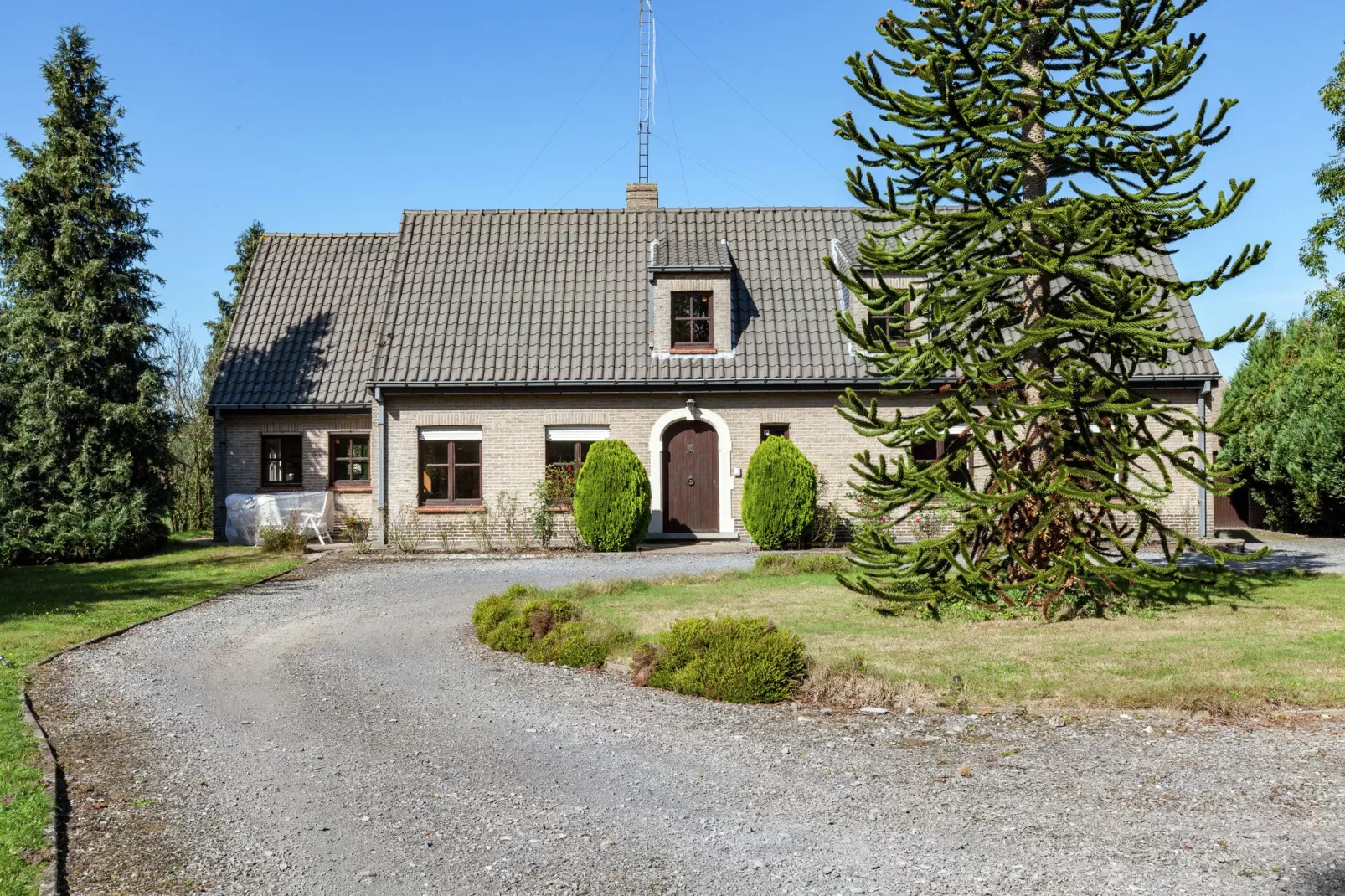 Nieuwe Bosrand