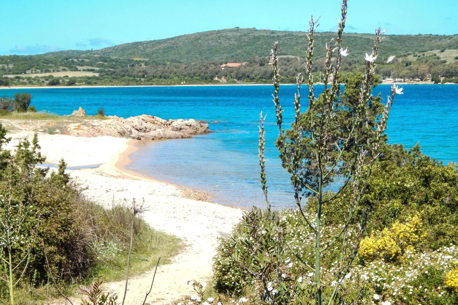 Studio Cannigione - Type Mono La Costa Mare-Gebieden zomer 1km