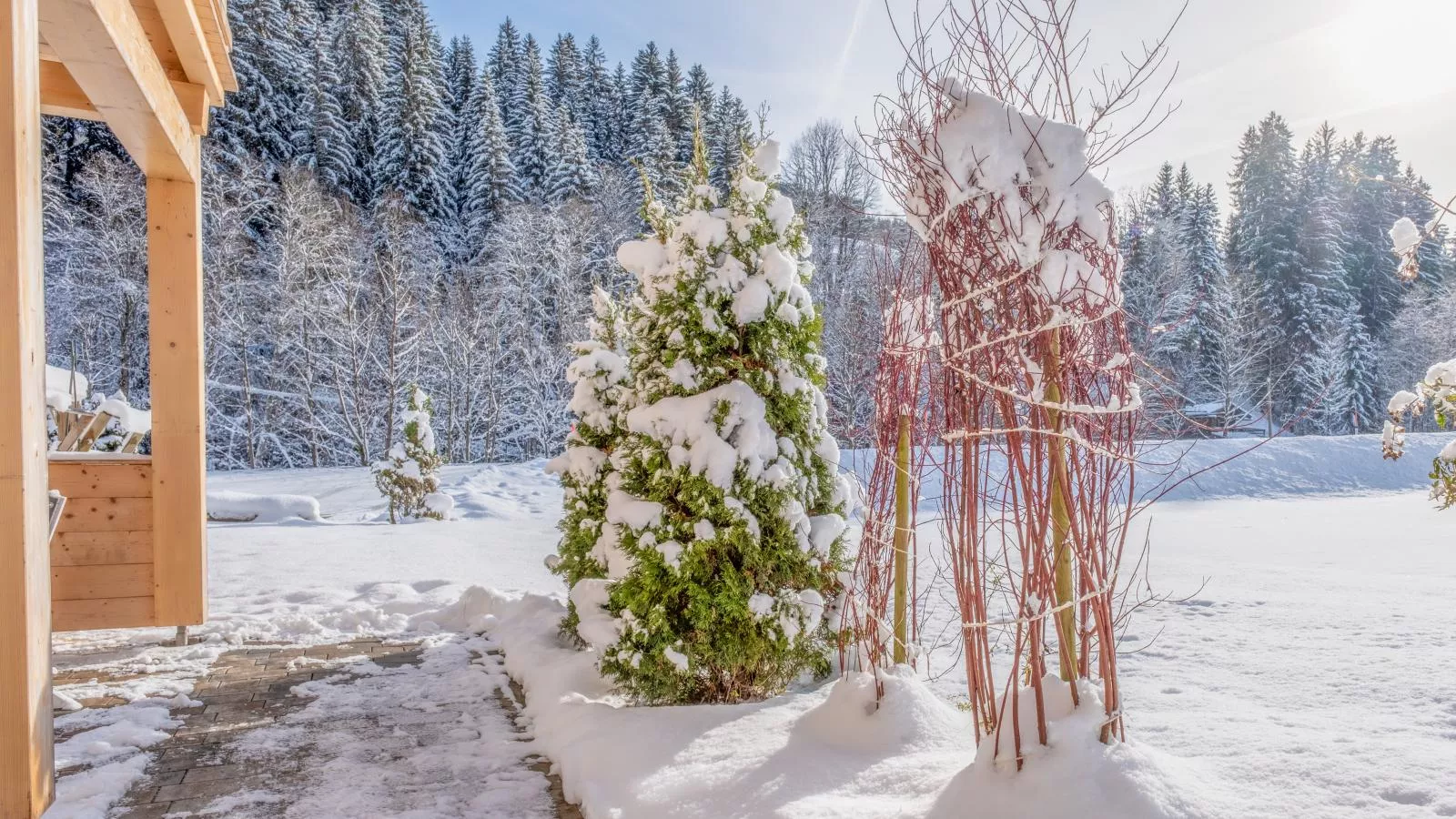 Blick auf den Rettenstein Top 1-Uitzicht winter