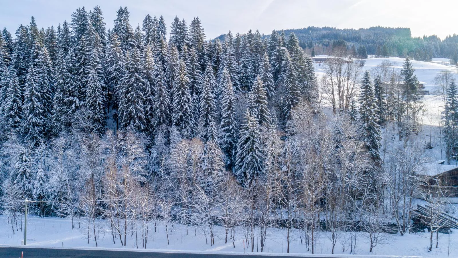 Blick auf den Rettenstein Top 1-Gebied winter 1km