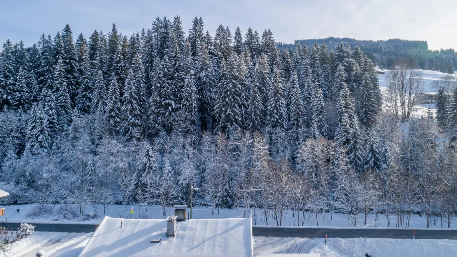 Blick auf den Rettenstein Top 1-Gebied winter 1km