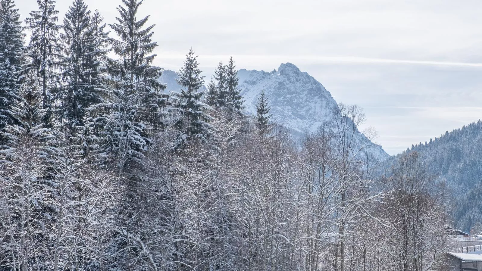 Blick auf den Rettenstein Top 1-Uitzicht