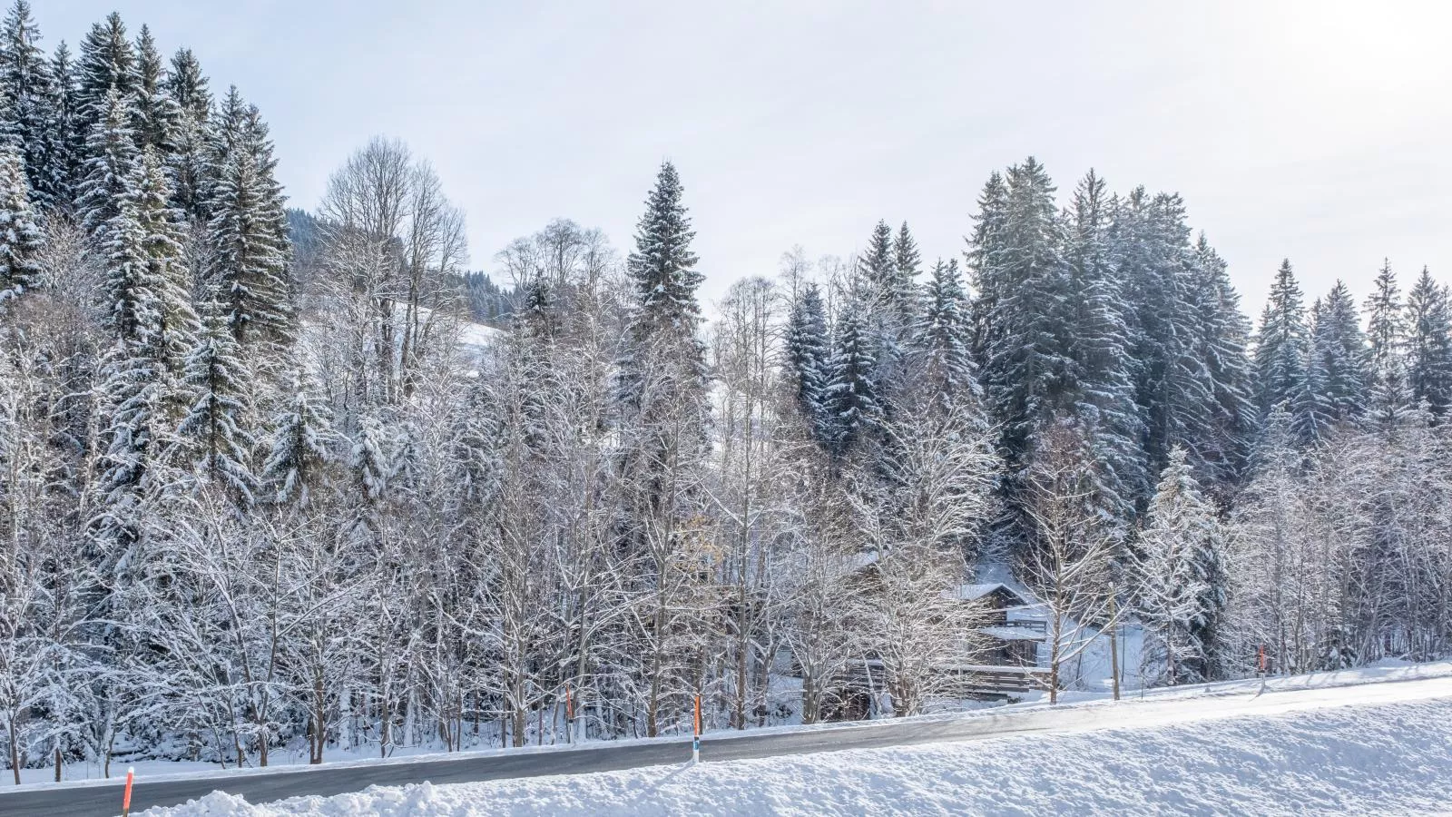 Blick auf den Rettenstein Top 1-Gebied winter 1km
